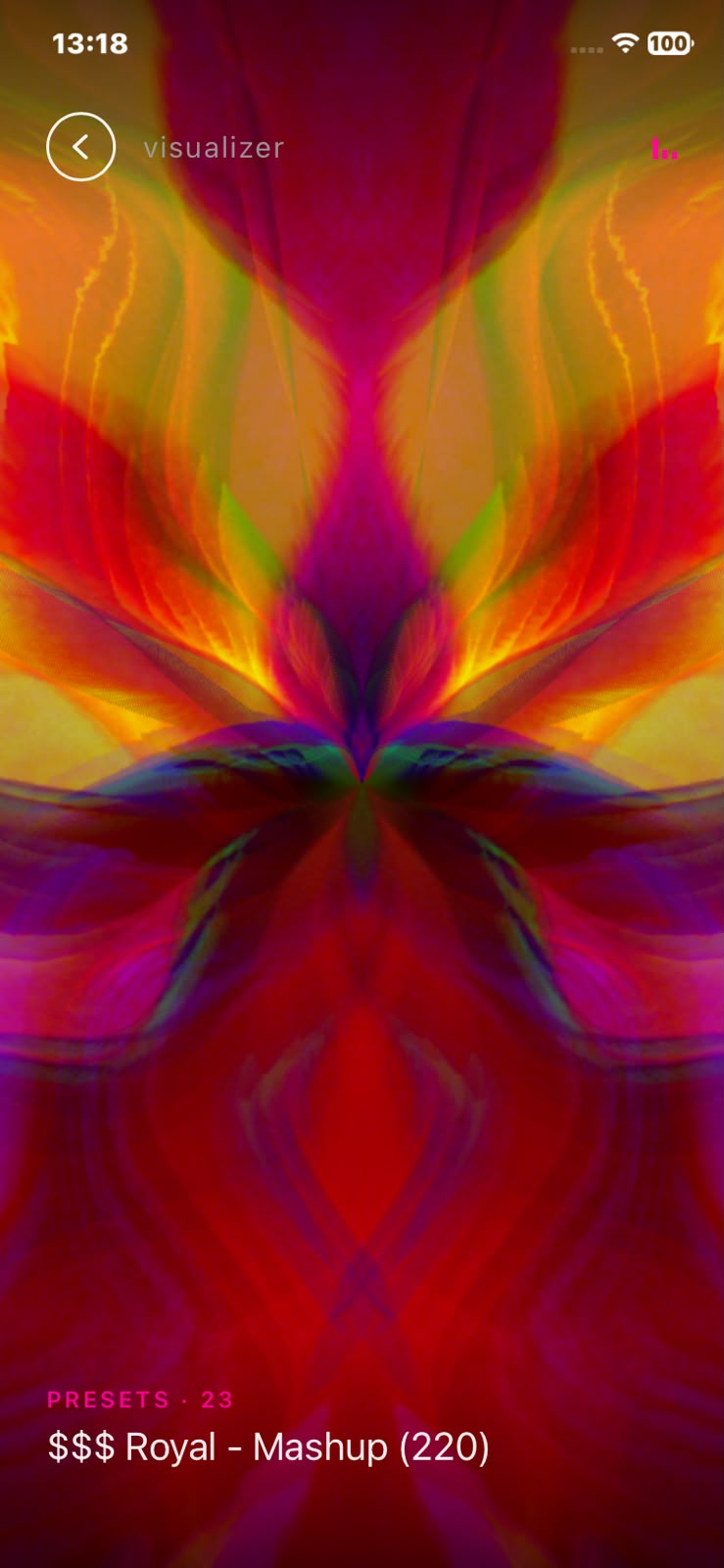 Full-screen visualizer